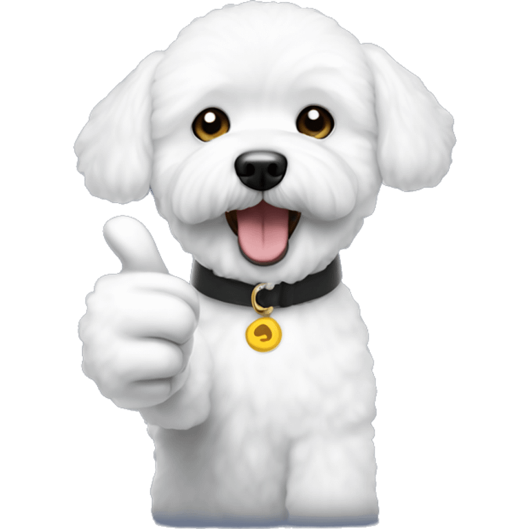 Bichon Frise thumbs up emoji