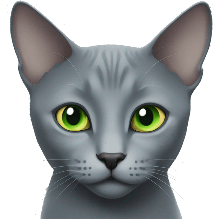 russian blue cat light green eyes  emoji