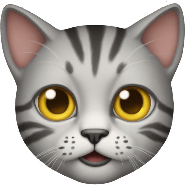 A cat that looks like is going to kill you emoji