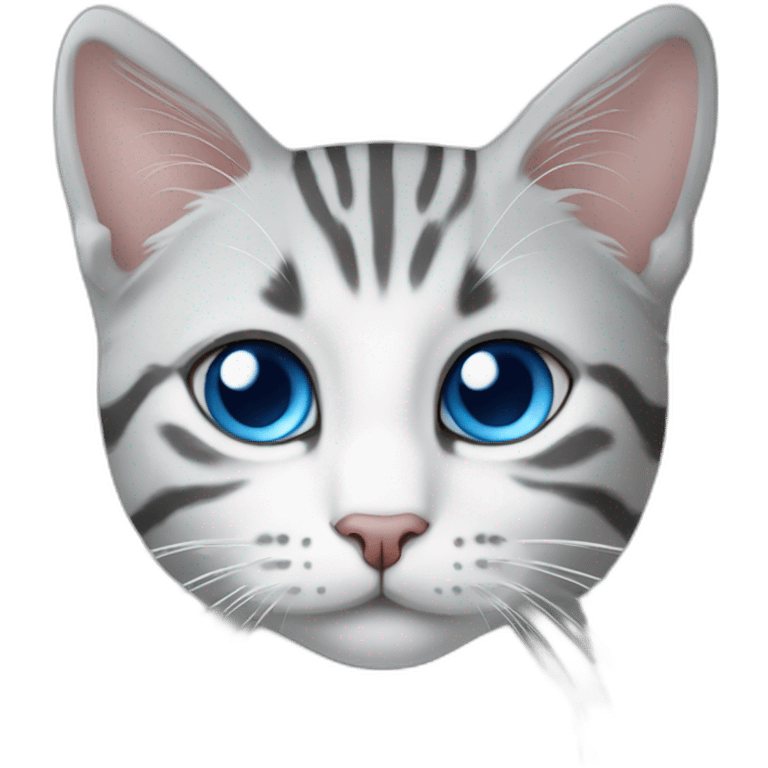 white and gray tabby cat with blue eyes and a round head emoji