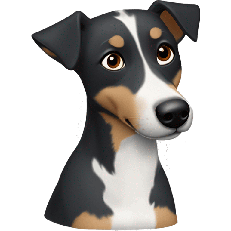 blue heeler mix dog with brown eyes and floppy flopped ears brown cheeks and brown dot eyebrows and black with white snout, chest and up theface emoji